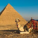 Tour of Most important Places in Cairo Giza Pyramids Egyptian Museum and Bazaar - What to Expect from the Tour