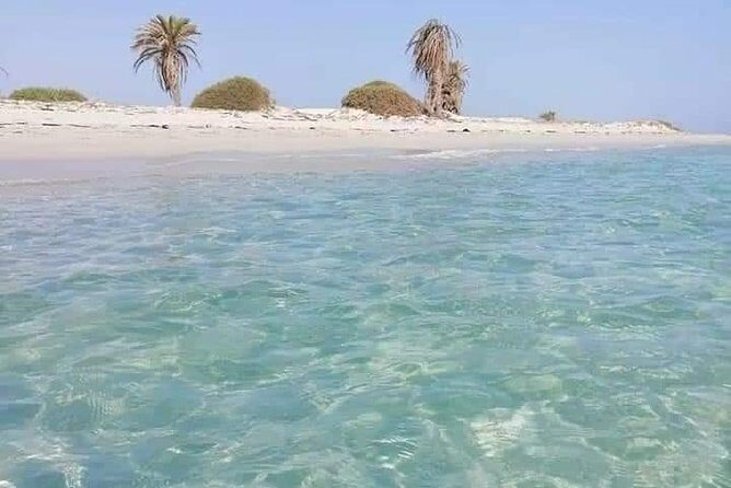 Tour of the island of Djerba the island of Lotophages - Who Will Love This Tour?