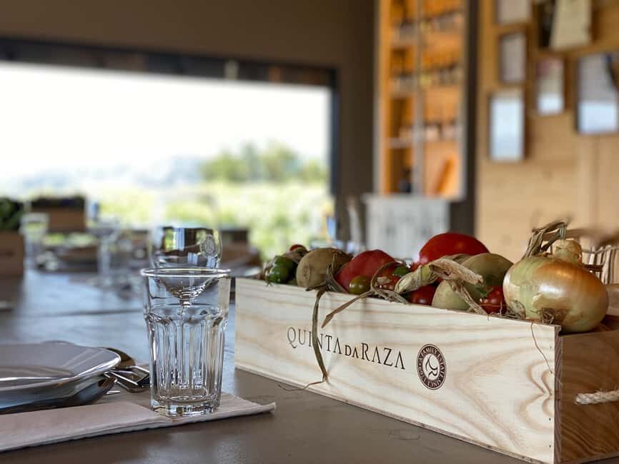 Tour of the vineyards, organic vegetable garden and animal farm. - Value and Authenticity