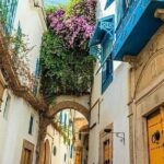 Tour of Tunis Carthage and Sidi Boussaid with local lunch - Exploring the Itinerary in Detail