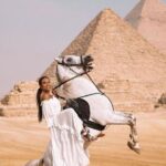 Tour to ancient Egyptian History The Pyramids of Giza,Egyptian Museum - Who Should Consider This Tour?