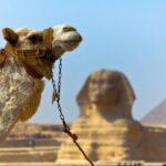Tour to Pyramids, Sakkara & Dahshur - What Does the Tour Include and What’s Not