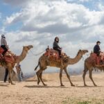 Tour to the Giza pyramids & Egyptian Museum - Final Thoughts