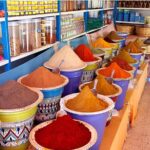 Tour to the Medina of Hammamet and the Spice Market of Nabeul - Transportation, Group Size, and Practical Details
