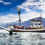 Traditional Oak Ship Whale Watching Tour From Husavik - Detailed Tour Breakdown