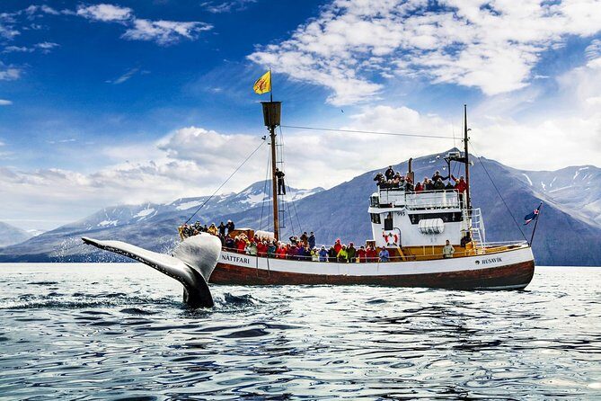 Traditional Oak Ship Whale Watching Tour From Husavik - Detailed Tour Breakdown