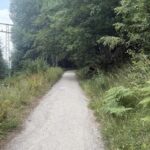 Trail Running Adventure - Detailed Breakdown of the Trail Running Experience