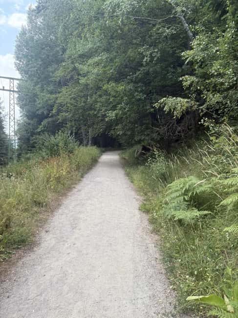 Trail Running Adventure - Detailed Breakdown of the Trail Running Experience