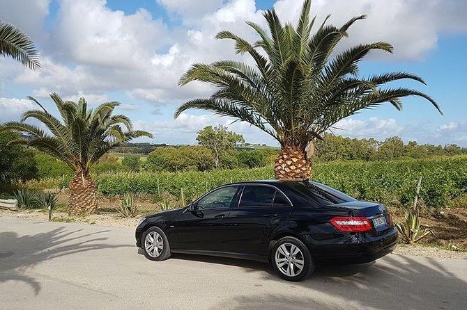 Transfer da aeroporto Palermo a Trapani porto - Vehicles and Comfort
