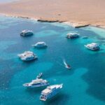 Transportation From Hurghada To Cairo one way transfer - Authentic Insights from Reviewer Experiences