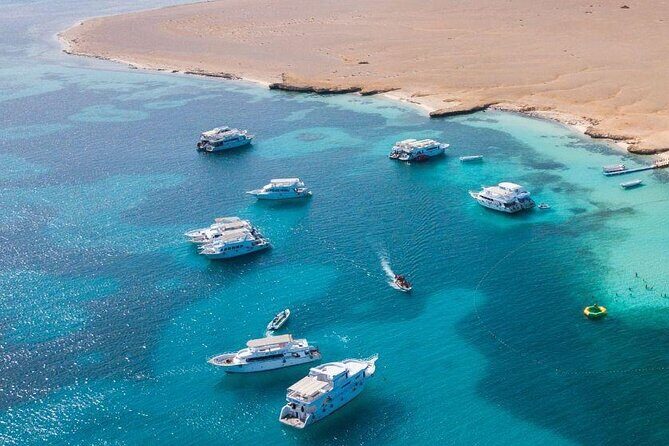 Transportation From Hurghada To Cairo one way transfer - Authentic Insights from Reviewer Experiences