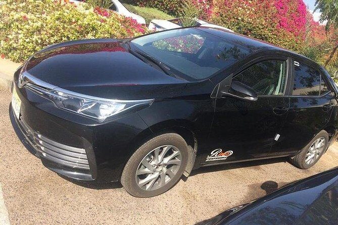 Transportation from Sphinx Airport to anywhere in Cairo and Giza - What Reviewers Say