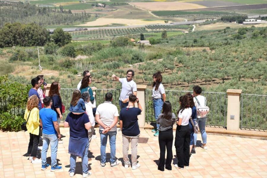 Trapani: Organic Wine Tasting with the Producer - The Value of the Experience