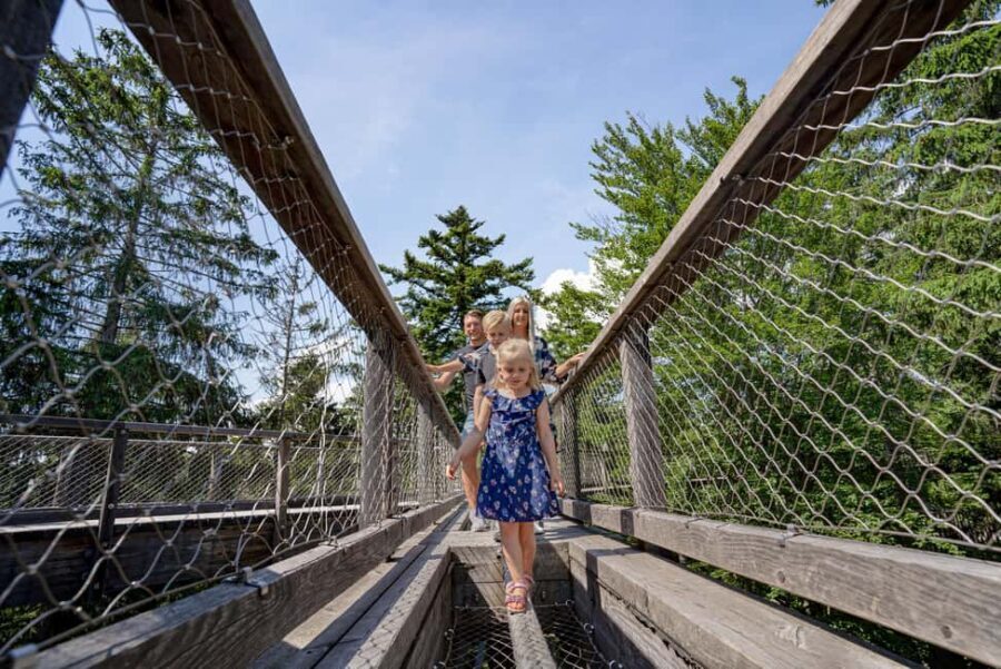 Treetop Walk Bavarian Forest: Discover the world of treetops - Practical Details to Enhance Your Visit
