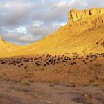 Trek Jebel Saghro Morocco 8 Days - What Travelers Say