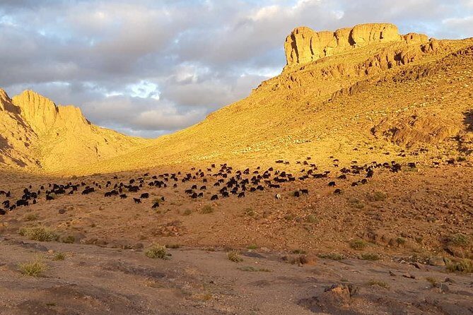 Trek Jebel Saghro Morocco 8 Days - What Travelers Say
