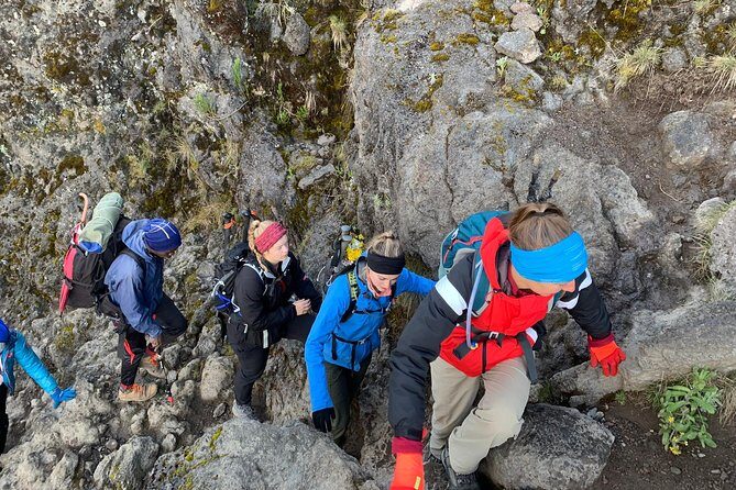 Trek To Mount Kilimanjaro - The Itinerary Breakdown: What to Expect Day by Day