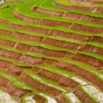 Trekking, Hiking And Tours Madagascar - Detailed Breakdown of the Itinerary