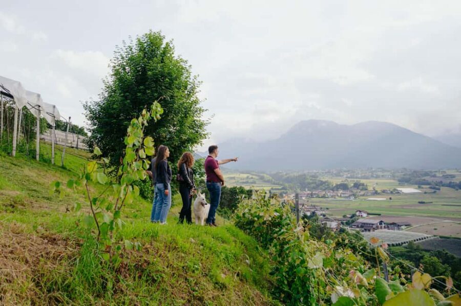 Trentino Agriconda: AgriBreak: an authentic snack surrounded by nature - The Experience Breakdown