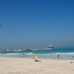 Trio Package - Dubai city tour + Desert Safari + Dhow cruise Dinner - Authentic Insights from Reviewers