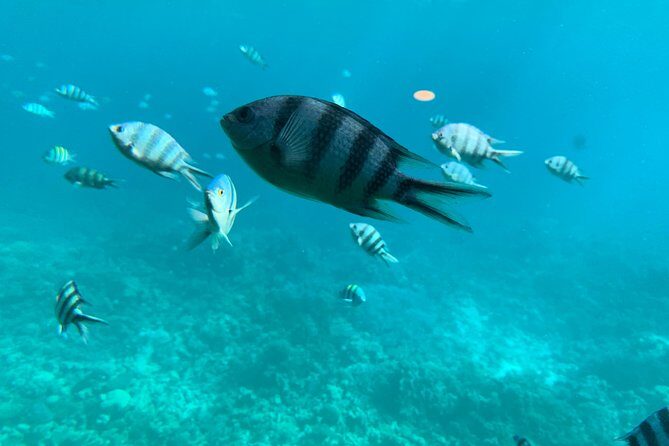 Trip on a glass bottom boat from Hurghada - Additional Details: What’s Included and What Not