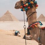 Trip To Cairo from Alexandria - The Realities of the Tour: Pros and Cons Based on Feedback