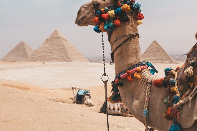 Trip To Cairo from Alexandria - The Realities of the Tour: Pros and Cons Based on Feedback