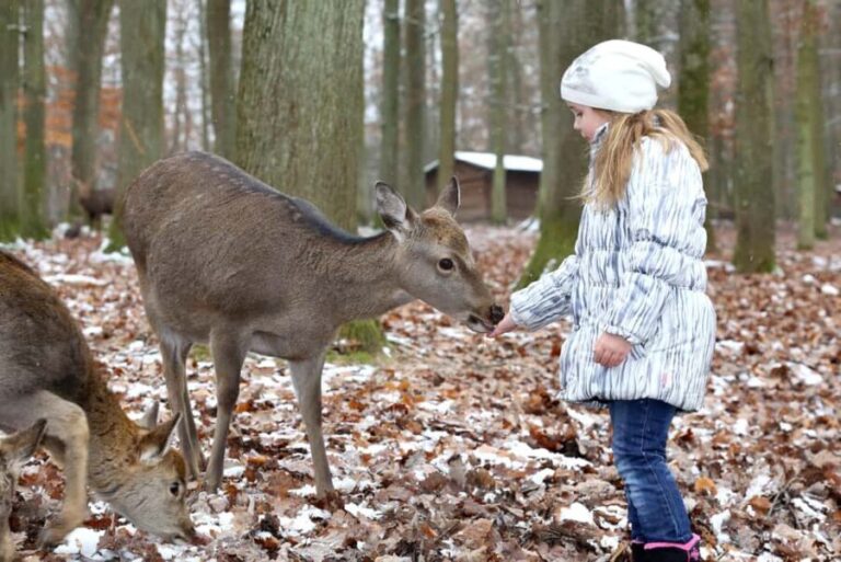 Tripsdrill Wildlife Park: Admission Ticket - An Overview of Tripsdrill Wildlife Park