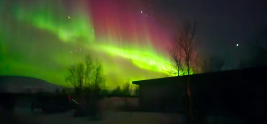 Tromsø: 6 hours Northern Lights tour - Authentic Experiences from Past Travelers