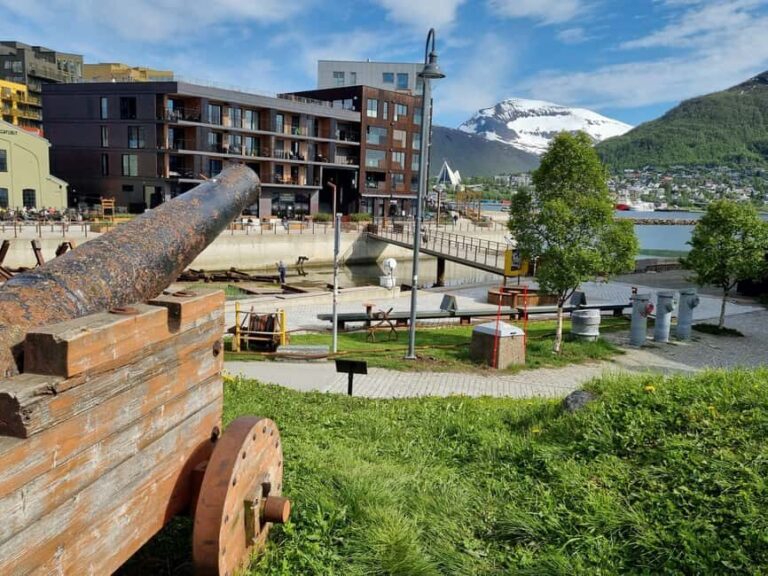Tromsø: Arctic Cathedral and City Walking Tour - What the Tour Means for You