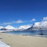 Tromsø: Arctic Fjords Tour. Sommerøya and Kvaløya with Lunch - Is This Tour Value for Money?