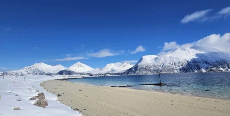 Tromsø: Arctic Fjords Tour. Sommerøya and Kvaløya with Lunch - Is This Tour Value for Money?