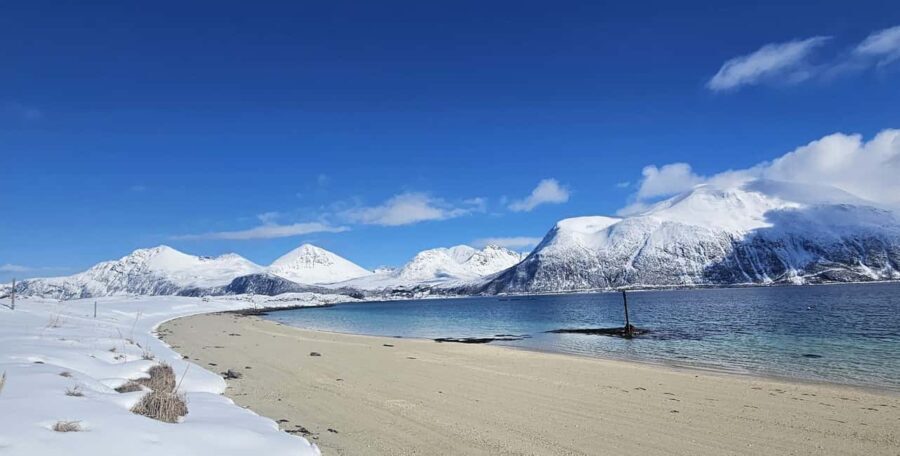 Tromsø: Arctic Fjords Tour. Sommerøya and Kvaløya with Lunch - Is This Tour Value for Money?