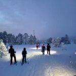 Tromsø: Artic Terrain Snowshoe Expedition with Local Guides - Key Points