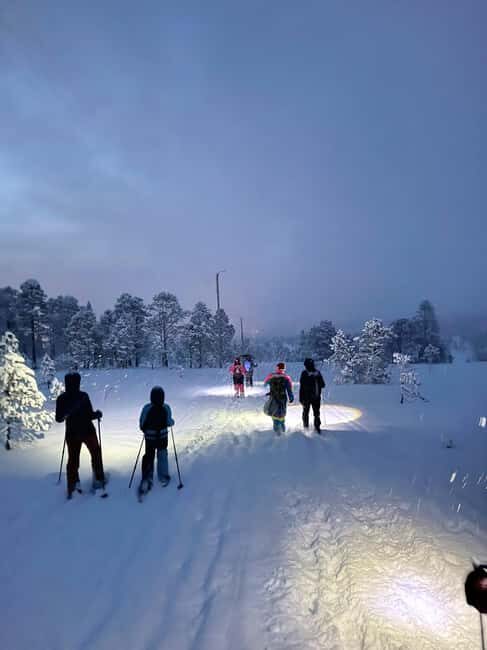 Tromsø: Artic Terrain Snowshoe Expedition with Local Guides - Key Points