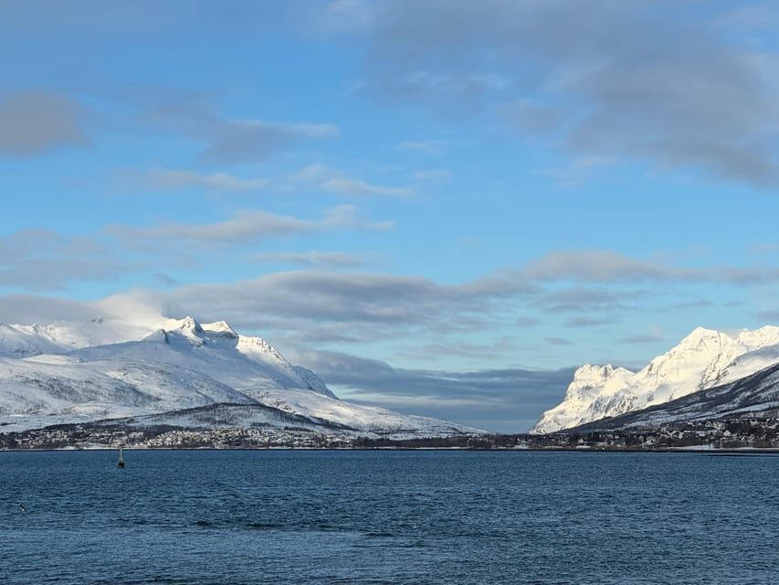 Tromsø: Aurora Tour with Guide and Photos - Max. 15 ppl - Final Thoughts