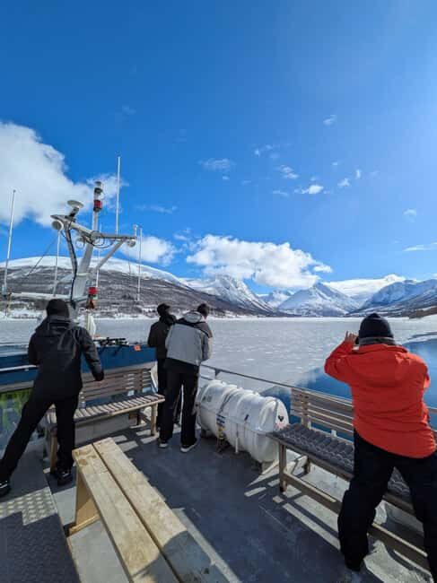 Tromsø: Christmas Cruise in the Arctic Fjords - The Scenic Highlights of Tromsø’s Fjords