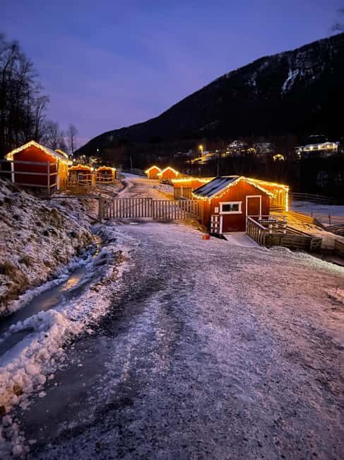 Tromsø: Cosy Farm Visit with a Chance of Northen Lights - Who Is This Tour Best For?