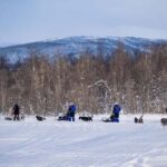 Tromsø: Dog Sledding Adventure at Camp Aspemo - The Value of This Tour
