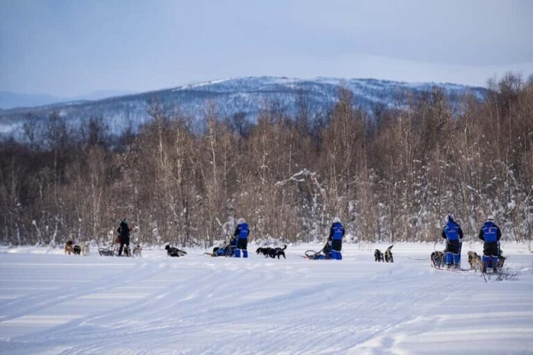 Tromsø: Dog Sledding Adventure at Camp Aspemo - The Value of This Tour