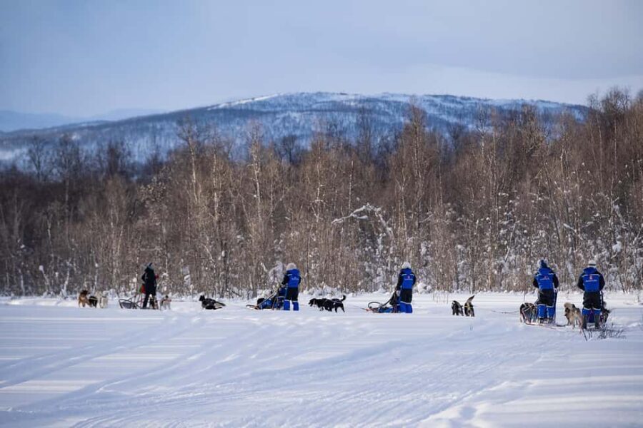 Tromsø: Dog Sledding Adventure at Camp Aspemo - The Value of This Tour