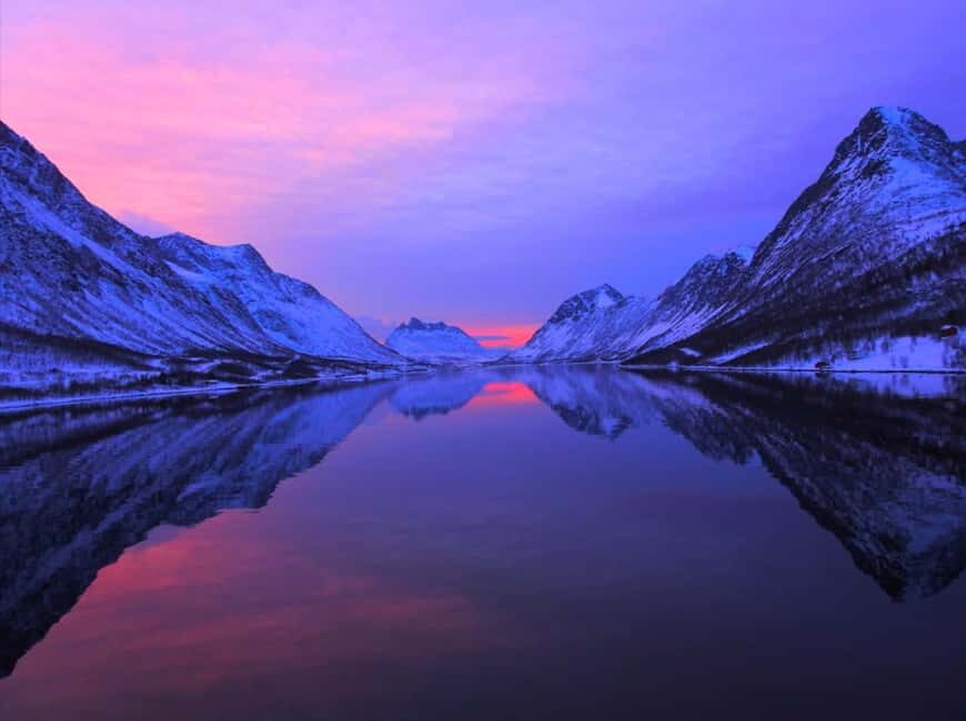 Tromsø: Evening Sightseeing Cruise All-inclusive - Who Will Appreciate This Tour?