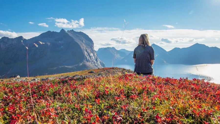 Tromso: Fjord Arctic Adventure Expedition - Final Thoughts