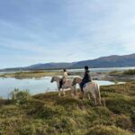 Tromsø: Horseback Riding Tour vinter/summer - Who is this tour best suited for?