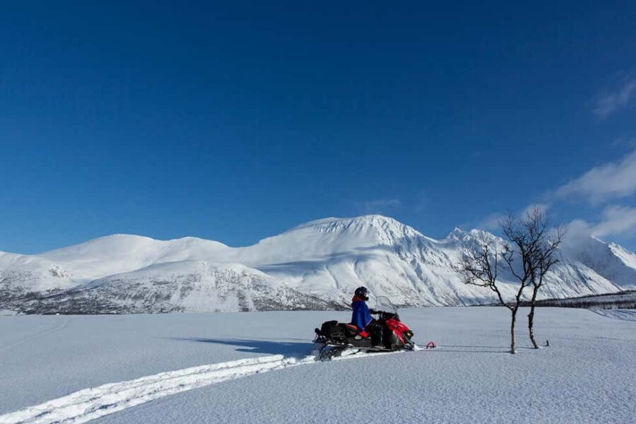 Tromsø: Lyngen Alps Snowmobile Adventure with Lunch - What Makes This Tour Stand Out?