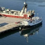 Tromsø: Morning Polar Expedition Cruise to Arctic Archipelag - Practical Tips for Your Arctic Cruise