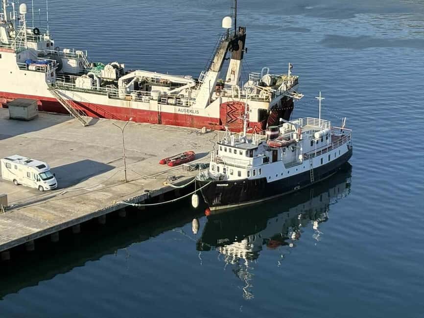 Tromsø: Morning Polar Expedition Cruise to Arctic Archipelag - Practical Tips for Your Arctic Cruise