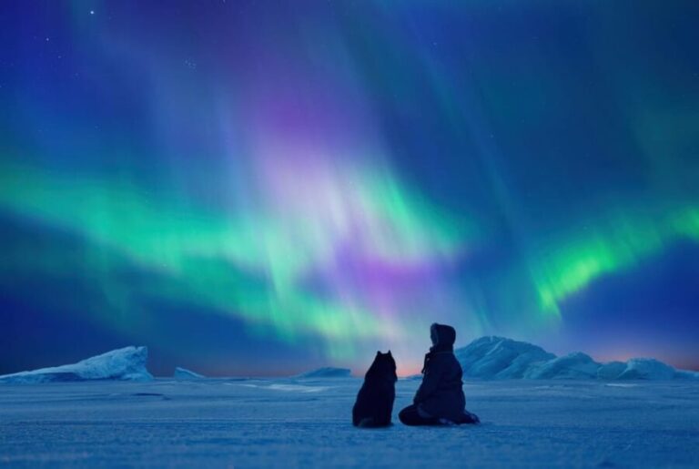Tromsø: Northern Lights by Bus with Professional Photography - What to Bring & Practical Tips