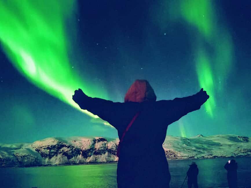 Tromsø: Northern Lights Guided Tour with Bonfire and Snacks - Value for Money and Practical Tips