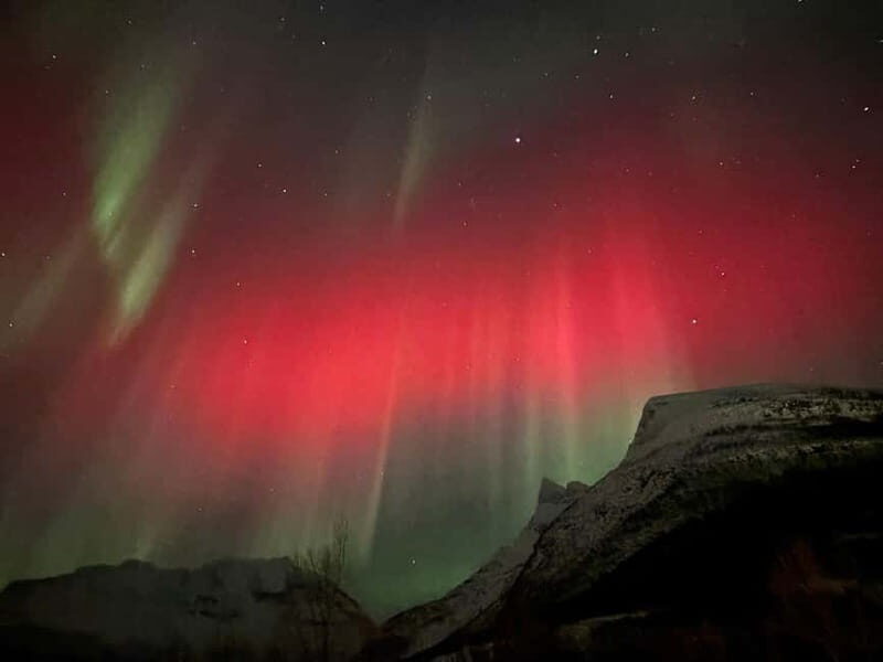 Tromsø/Skibotn: Daytime Sami Culture, Joik & reindeers - Who Will Love This?